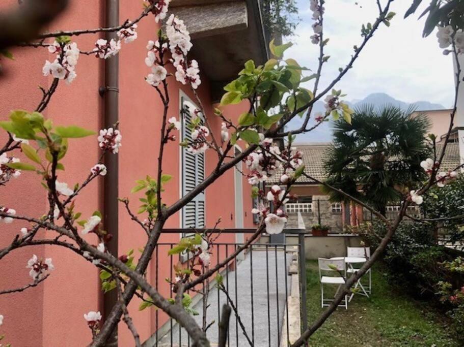 Giuditta Freecarpark&Garden Domodossola Bagian luar foto