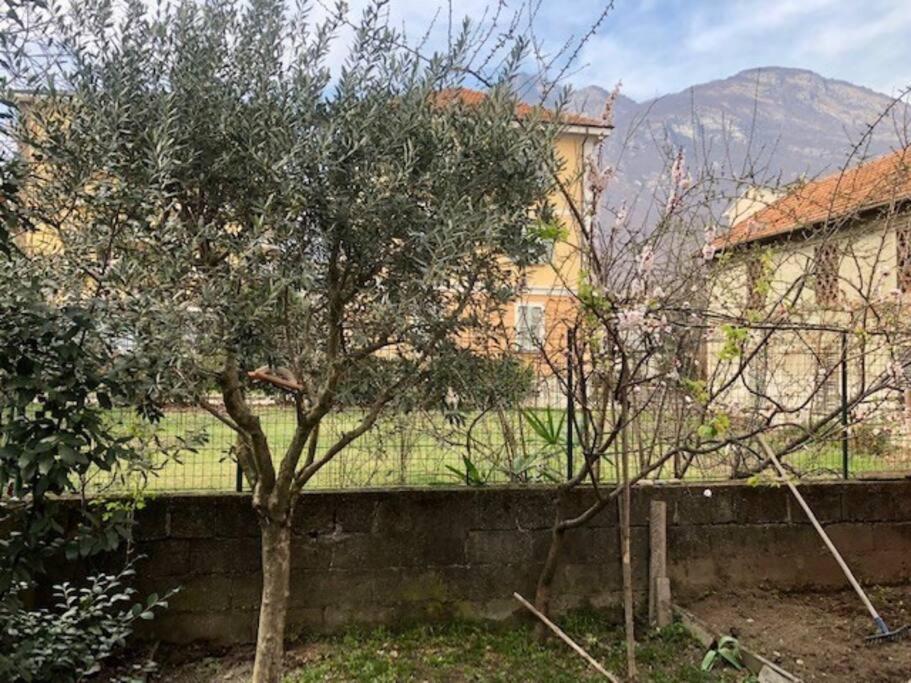 Giuditta Freecarpark&Garden Domodossola Bagian luar foto