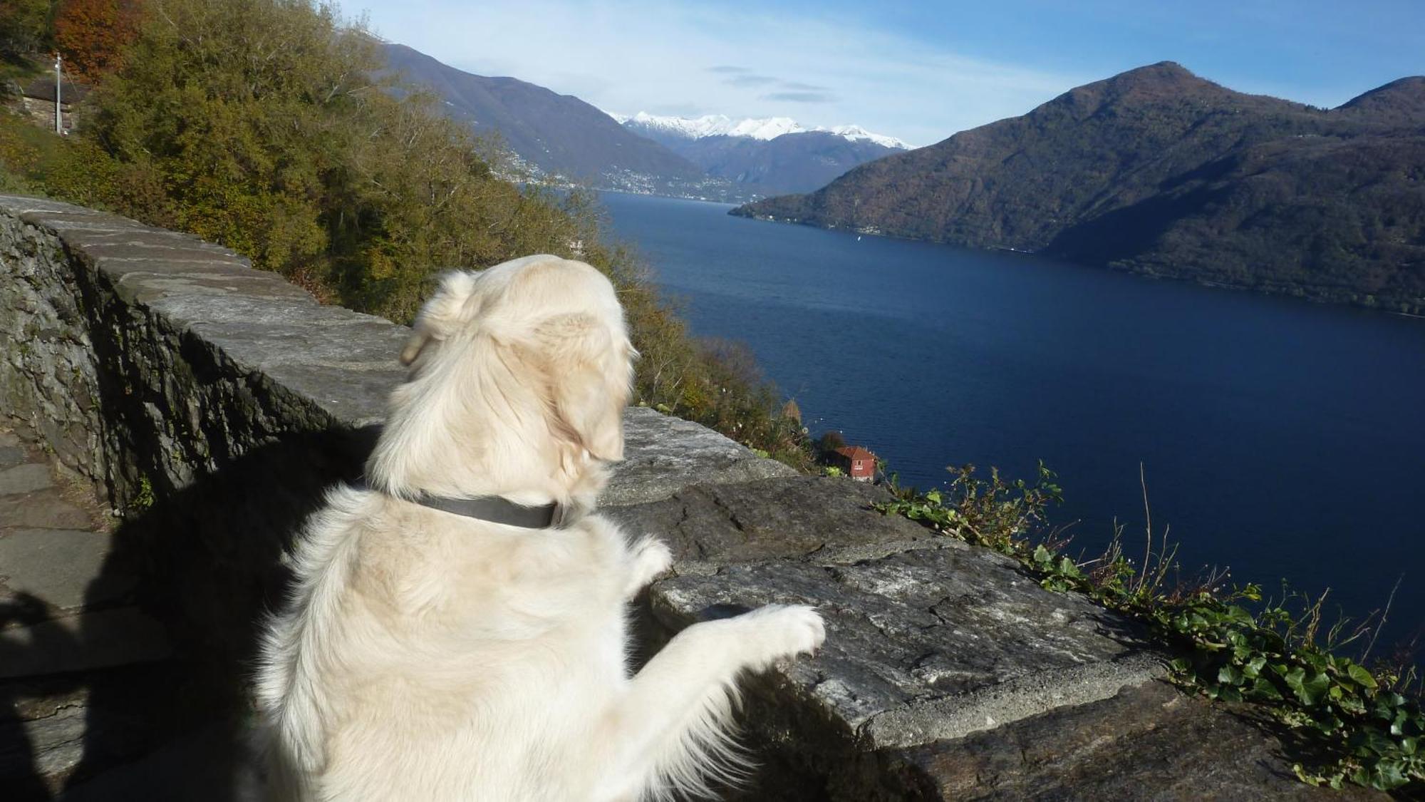 Giuditta Freecarpark&Garden Domodossola Bagian luar foto