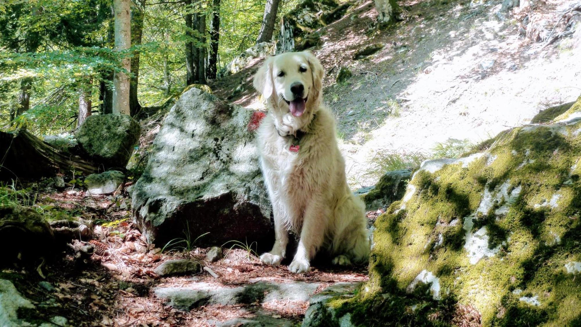 Giuditta Freecarpark&Garden Domodossola Bagian luar foto