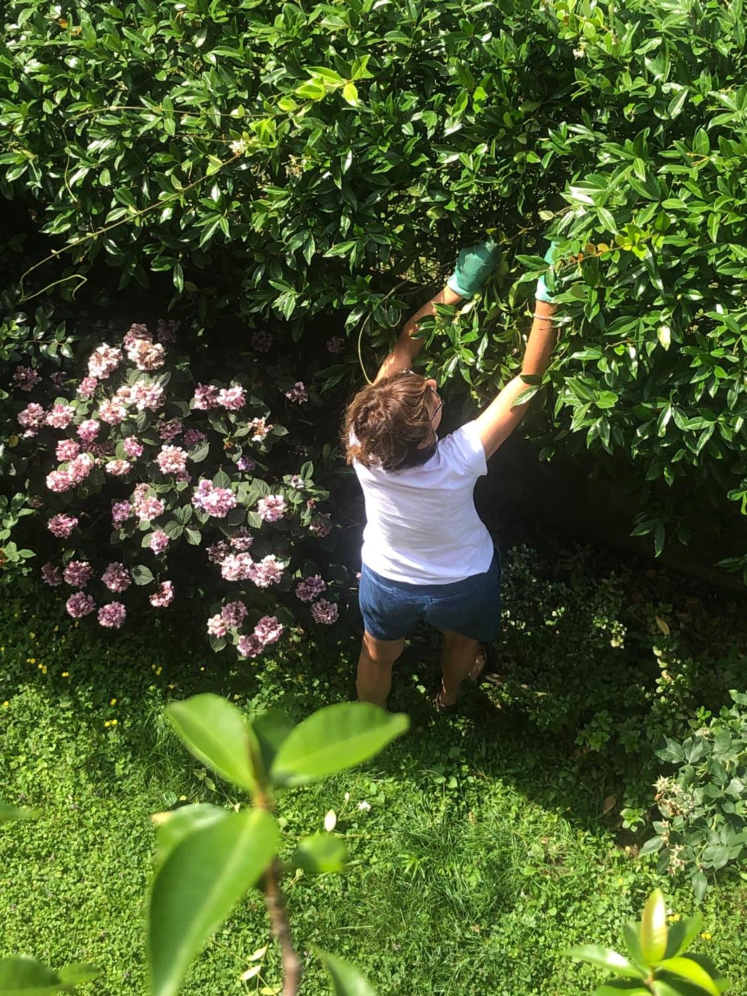 Giuditta Freecarpark&Garden Domodossola Bagian luar foto
