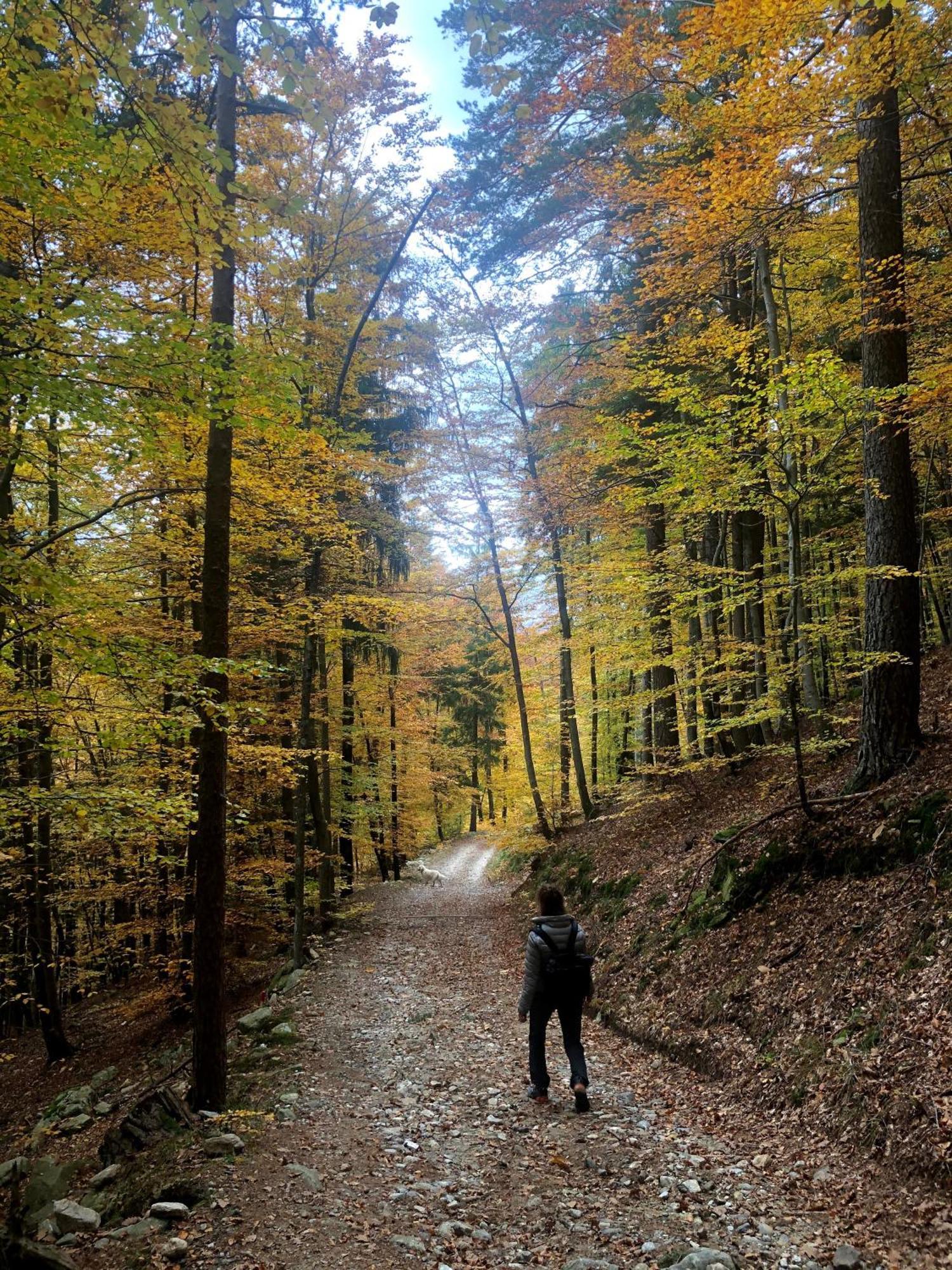 Giuditta Freecarpark&Garden Domodossola Bagian luar foto